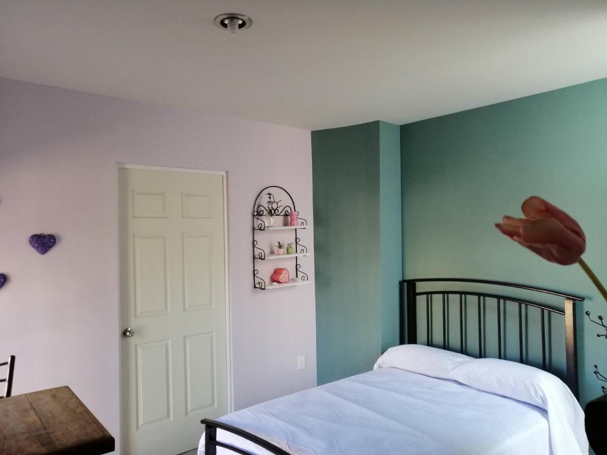 Casa Nikte Daire Zacatecas Dış mekan fotoğraf